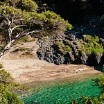 וילה Front De Acces Presqu'ile De Giens-sea And Mountain Pleasure *