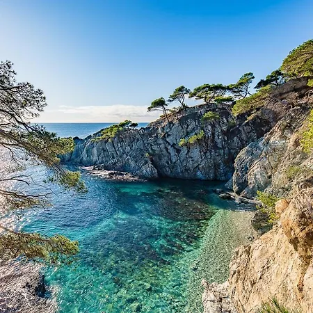 Villa Front De Acces Presqu'ile De Giens-sea And Mountain Pleasure